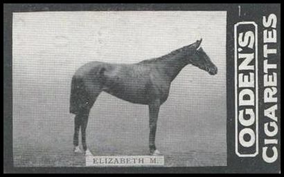 120 Elizabeth M